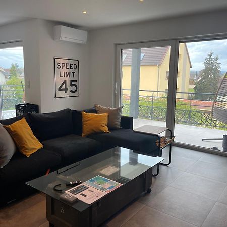 Colmar Appartement Terrasse 10Min Centre Ville Widensolen 外观 照片